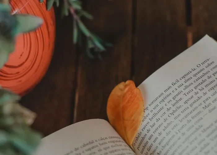 Longra Family & Hébergement de vacances *