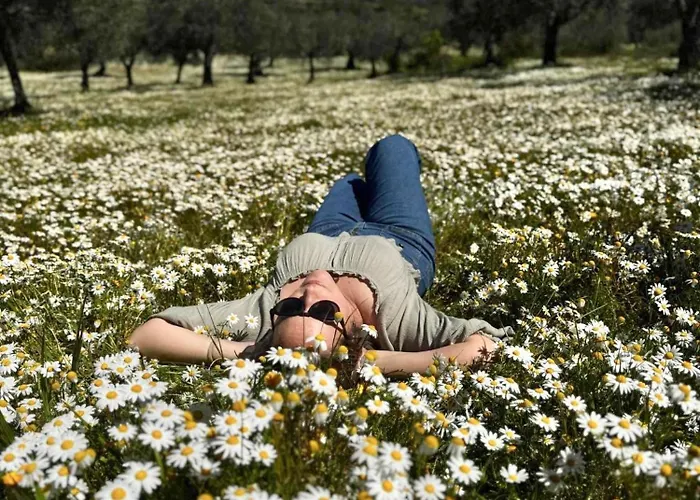 Feriehus Longra Family & Barcel